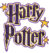  Harry Potter Fan