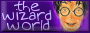 The Wizard World